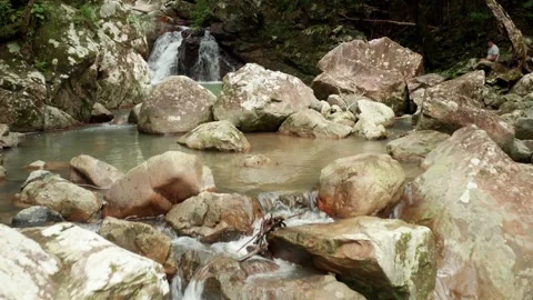 Small waterfall river in a rainforest Stock Footage 259441905