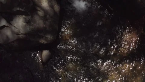 Small waterfall river in a rainforest Stock Footage 259442313