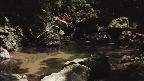 Small waterfall river in a rainforest Stock Footage 259442457
