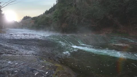 Small waterfall river in a rainforest Stock Footage 260853036
