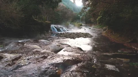 Small waterfall river in a rainforest Stock Footage 260853209