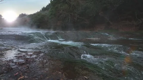 Small waterfall river in a rainforest Stock Footage 260853249