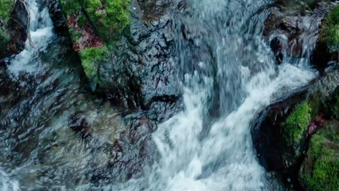 Small waterfall river in a rainforest Stock Footage 261351500