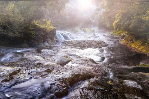 Small waterfall river in a rainforest Stock Photos