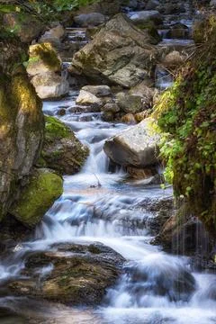 Small waterfall river in a rainforest Stock Photos