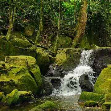 Small waterfall, river running through the jungle. Thickets, moss on the rocks Stock Photos
