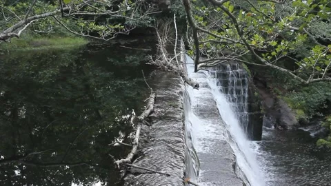Small waterfall in a river in Sargadelos Stock Footage 239913057