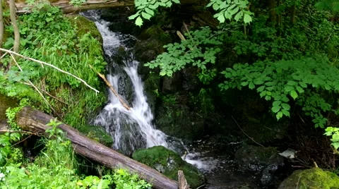 Small waterfall river Steinbach in Harz Mountains Stock Footage 60872521