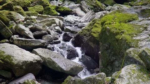 Small waterfall with rocks in the Amazon rainforrest Stock Footage 112416803