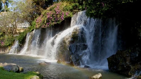 Small Waterfall with Rocks and Trees 動画素材 85489858