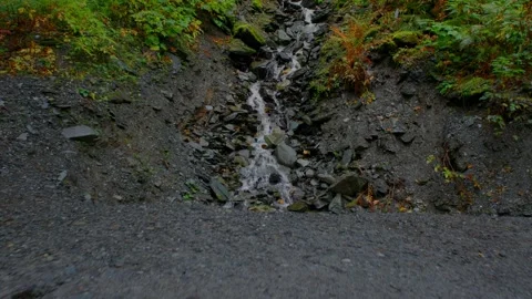 Small waterfall on rocks in forest Stock Footage 294710298