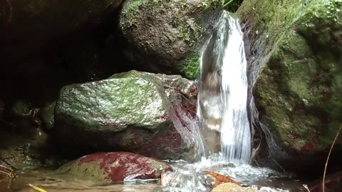 Small Waterfall in Rocky Forest with Green Moss and Flowing Water Stock Footage 330545007