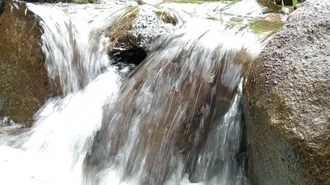 Small Waterfall in Rocky Stream – Clear Flowing Forest Water Stock Footage 330555426