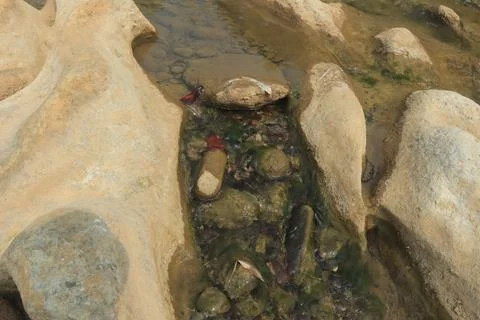 Small Waterfall in Rocky Stream Stock Photos