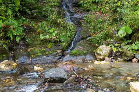 Small waterfall running down into a river somewhere in Transylvania Stock Photos