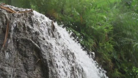 Small waterfall running down a rock in the jungle in slowmotion Video stock 231755600