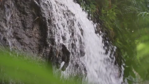 Small waterfall running down a rock in the jungle in slowmotion Video stock 231756251
