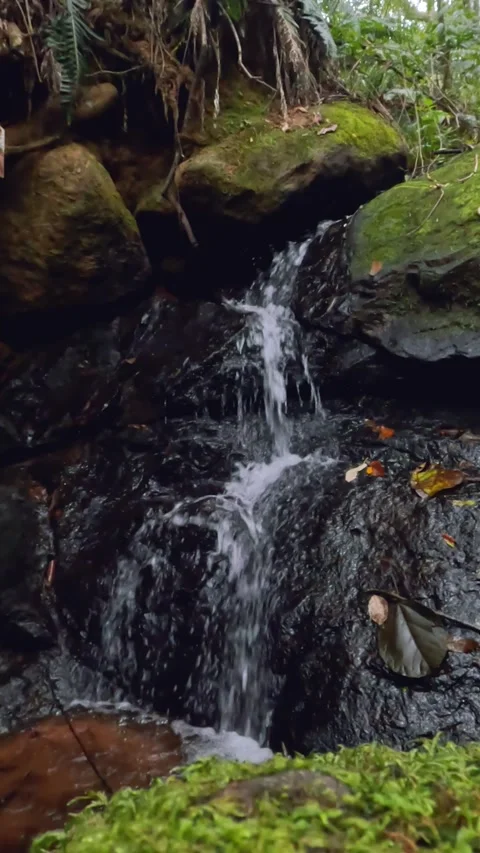 Small Waterfall in Rural Brazil Stock Footage 342532450