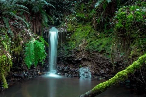 Small waterfall into a secluded stream 写真素材