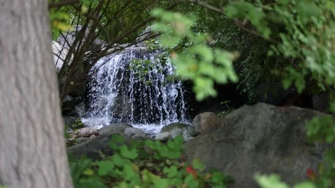 Small Waterfall Seen through Out of Focus Trees - Shallow Depth of Field Stock Footage 156036986