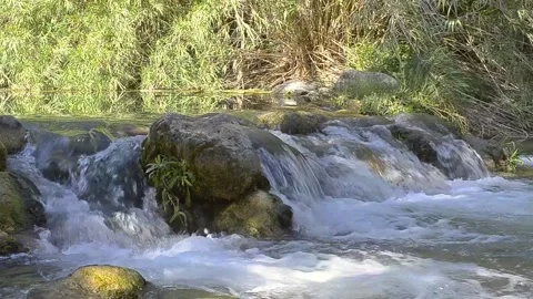 Small waterfall at the shadow of the trees. 動画素材 139347309