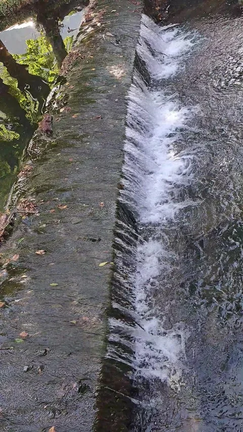 Small Waterfall Short Video Video stock 264390611