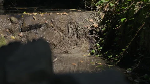Small waterfall, showcasing surrounding plants and a tiny pond. Video stock 319352357