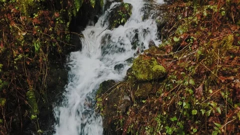 Small Waterfall At Silver Falls State Park, Oregon. Stock Footage 204710744