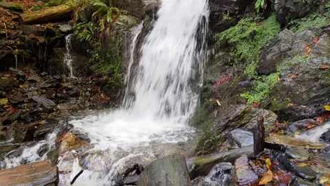 A small waterfall on a small mountain river. Cool mountain nature close-up Stock Footage 157501526