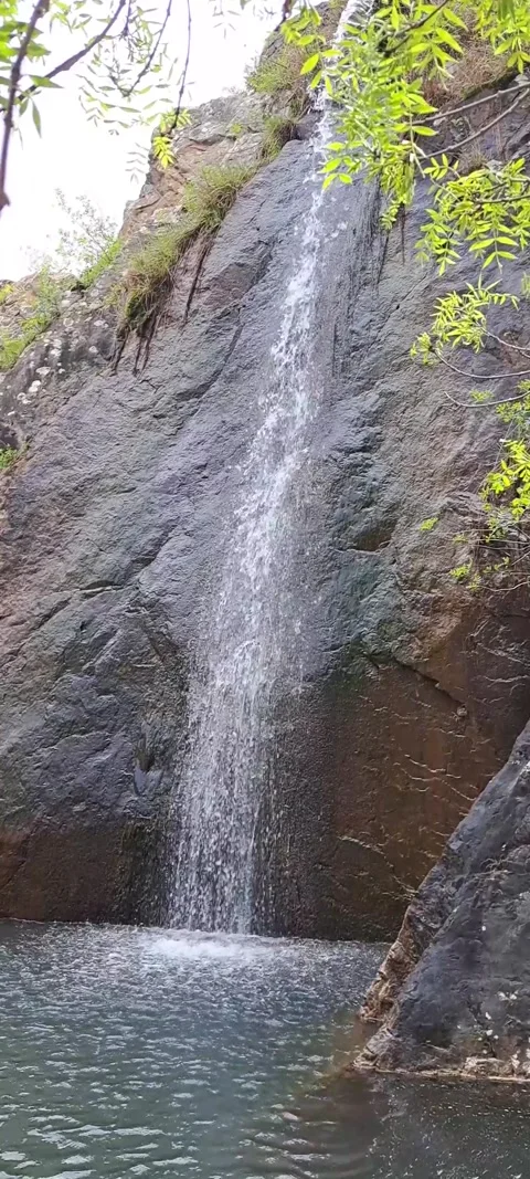 Small waterfall with some leafs in front of it Stock Footage 315601751