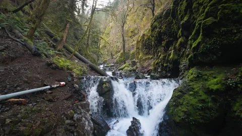 Small Waterfall Spilling Over Rocky Ledge in Forest Ravine Stock Footage 337940810