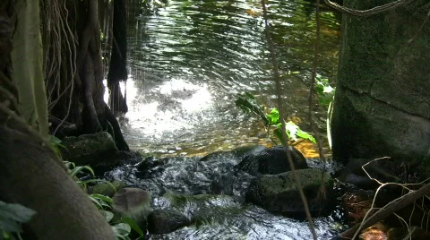 Small waterfall is splashing into a sun-lit pond 스톡 동영상 360749