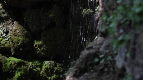 Small waterfall, splashing, water dripping over green moss, mountain river Stock Footage 37622684