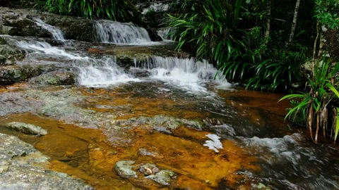 Small Waterfall in Springbrook National Park, Qld, Australia Stock Footage 157619917