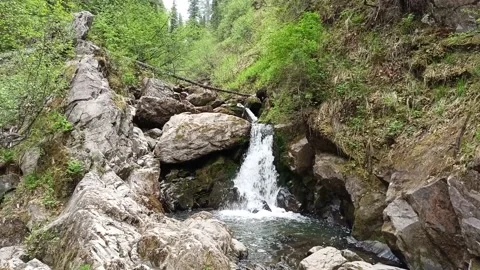 A small waterfall in a stone crevice overgrown with forest. Stock Footage 195598256