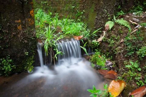 A small waterfall by the stone stairs in the jungle Stock Photos
