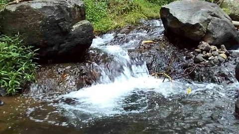 Small waterfall stream and pond on kalibanteng river on the mountain, java Stock-Footage 124946424