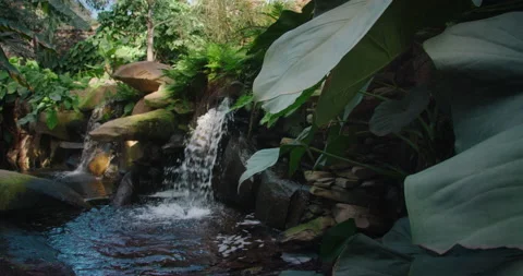 Small waterfall stream close-up in jungle. Water flows over the stones in green Stock Footage 237841521