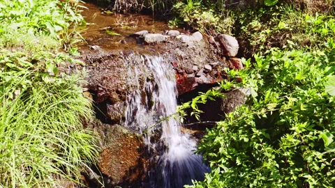 A small waterfall in a stream flowing deep in the mountains Video stock 134235972