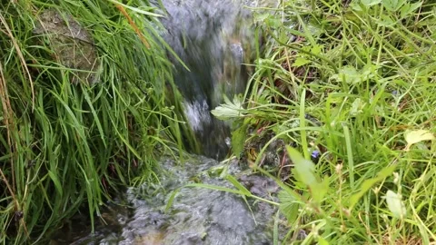 Small waterfall on a stream flowing in a meadow Stock-Footage 160760484