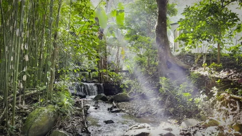 Small waterfall with a stream flowing in the middle of a deep forest Stock Footage 223599896