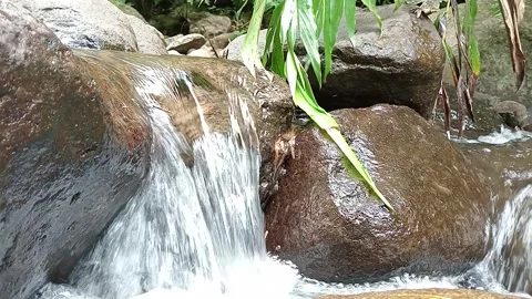 Small Waterfall Stream Flowing Over Rocks in Tropical Forest Scene Stock Footage 330582190