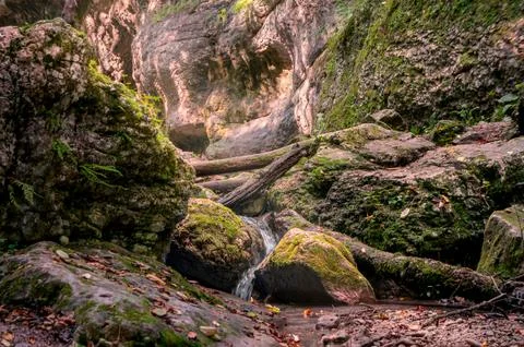Small waterfall stream flowing through mossy boulders in deep rocky canyon Foto stock