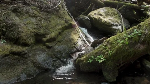 Small Waterfall in stream Video stock 80038157