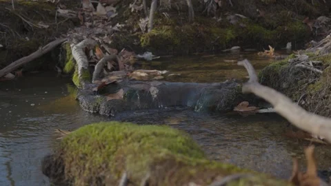 Small Waterfall in Stream Vídeo Stock 235220628
