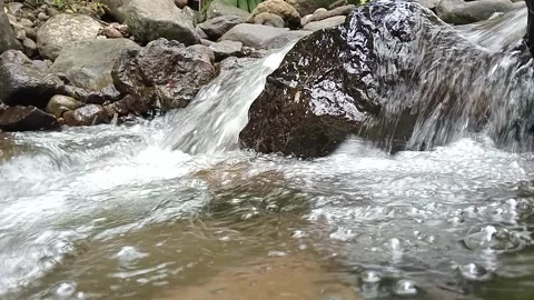 Small Waterfall Stream in Forest | Flowing River Over Rocks Close Up Stock Footage 330561798