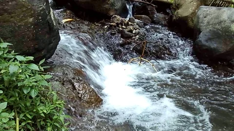 Small waterfall stream on kalibanteng river on the mountain, java Stock Footage 124945223