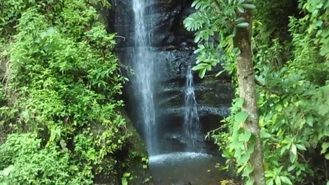 Small waterfall stream on muria mountain, rahtawu java, indonesia Video stock 124681011