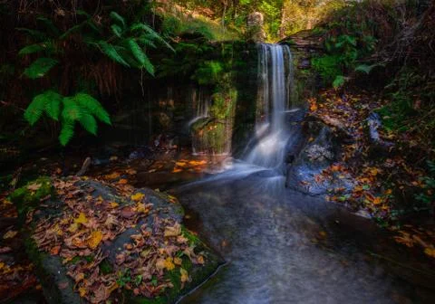 Small waterfall in a stream Stock Photos