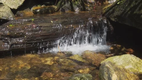 Small waterfall on a stream with a rotten log 库存影片 140481245